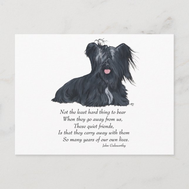 Skye Terrier Erinnerung Postkarte (Vorderseite)