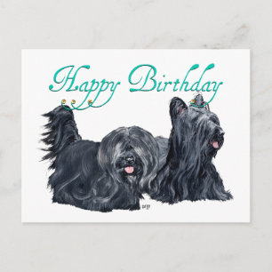 Skye Terrier Geburtstagskarten Postkarte