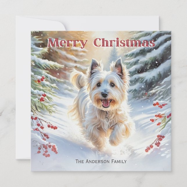 Skye Terrier Hund im Schnee frohe Weihnachten (Vorderseite)