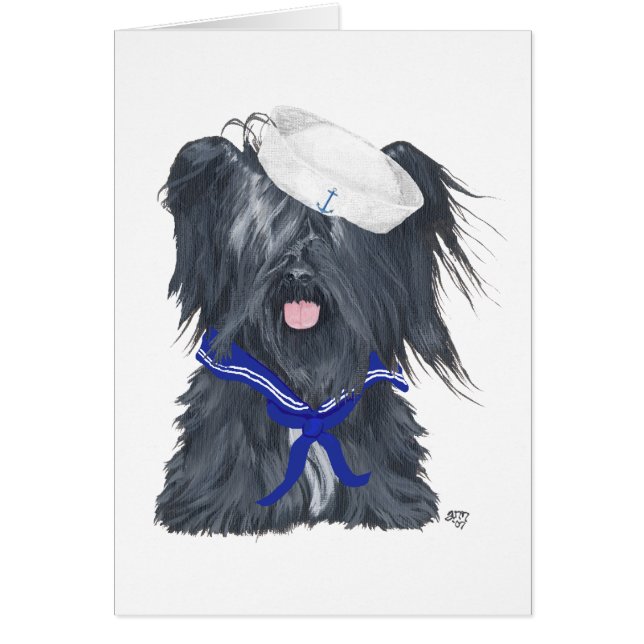 Skye Terrier Sailor (Vorne)