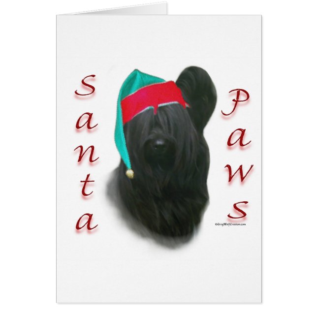 Skye Terrier Santa Paws (Vorne)