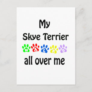 Skye Terrier Walks Design Postkarte