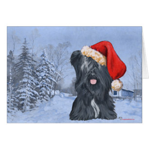 Skye Terrier Winterzeit