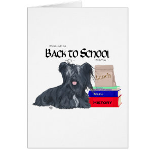 Skye Terrier Zurück zur Schule