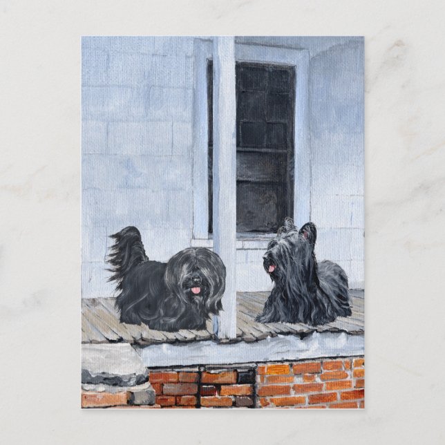 Skye Terriers warten auf der Porch Postkarte (Vorderseite)