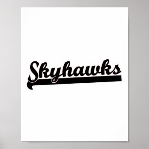 Skyhawks Lacrosse Volleyball Skydiving Basketball Poster