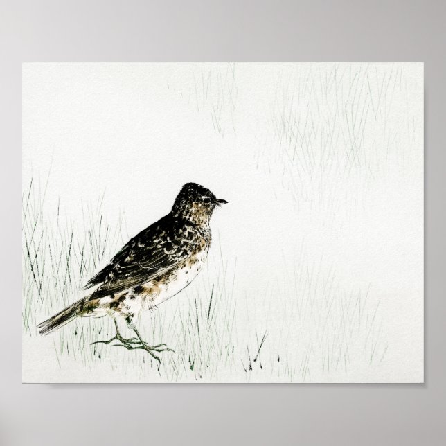 Skylark Bird, Watanabe Seitei Poster (Vorne)