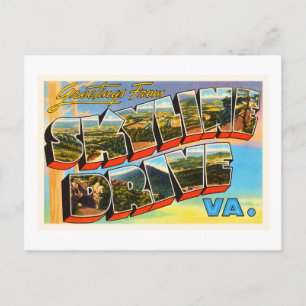 Skyline Drive Virginia VA Vintage Travel Postcard- Postkarte