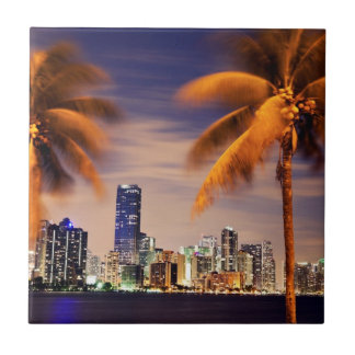 Skyline USA, Florida, Miami an der Dämmerung Fliese