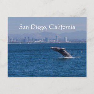 Skyline von Whale und San Diego Postkarte