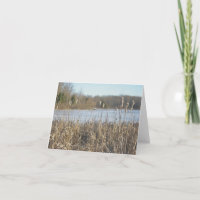 Skymount-Teich in der Eisnotizkarte