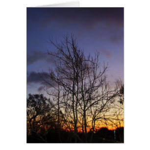 Skyscapes #001 Karte