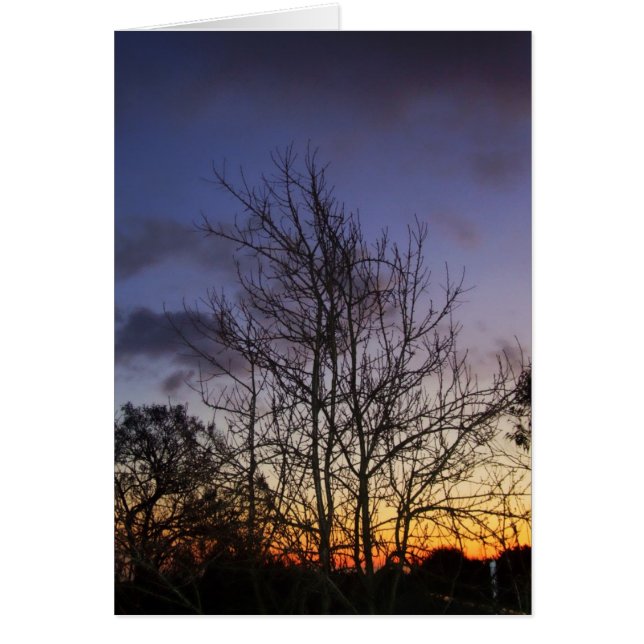 Skyscapes #001 Karte (Vorne)