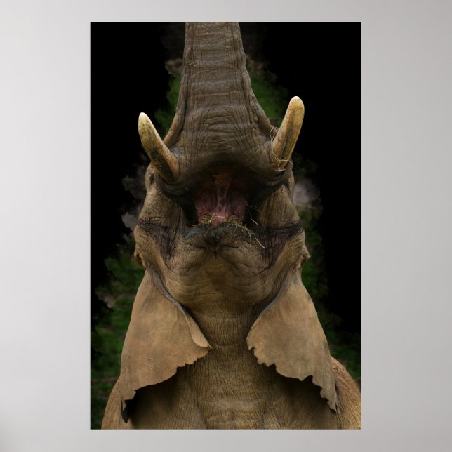 Skyward Snack Elephant's Upward Reach Poster (Vorne)