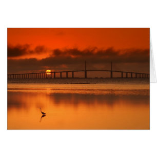 Skyway Bridge