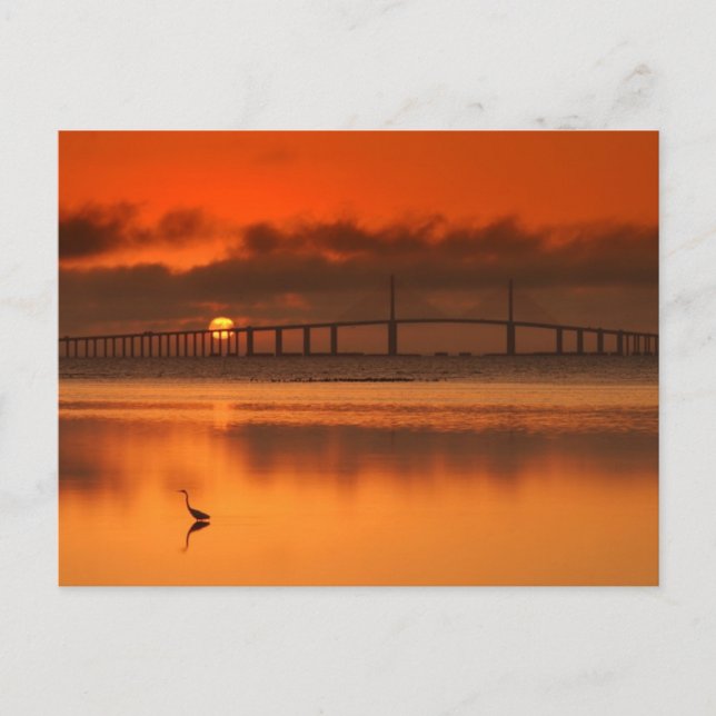Skyway Bridge Postkarte (Vorderseite)