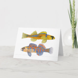 Slackwater u. Orange-Throated Darters Karte