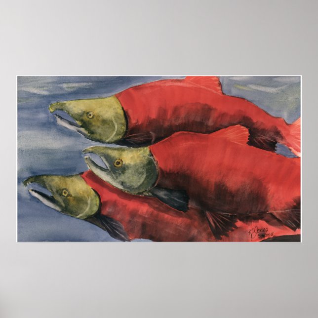 Slamon' Lachs! Poster (Vorne)