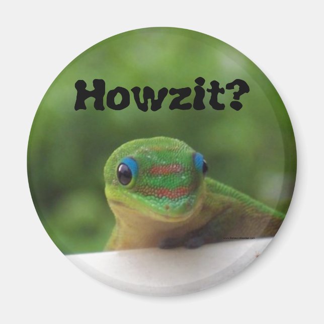 Slang Expressions Howzit Magnet (Vorne)