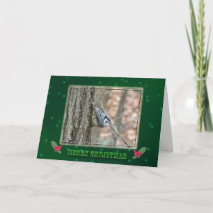 Slate Gray Nuthatch Christmas Songbird Feiertagskarte