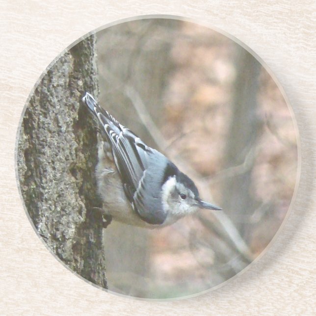 Slate Gray Nuthatch Songbird Sandstein Untersetzer (Vorne)