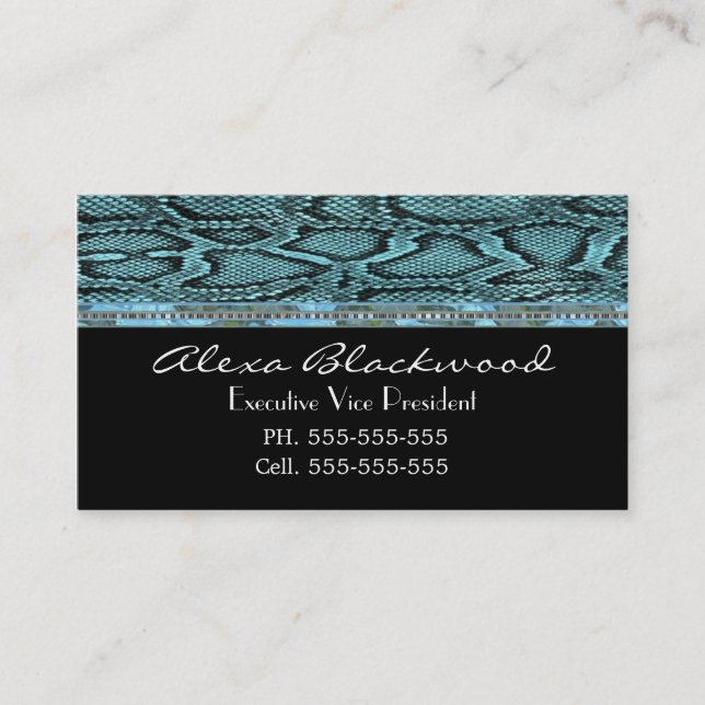 Slayter Classic Einzigartig Beruflich Visitenkarte (Vorderseite)