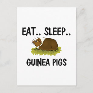 Sleep GUINEA SCHEINEN essen Postkarte