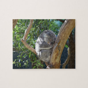 Sleep Koala Puzzle