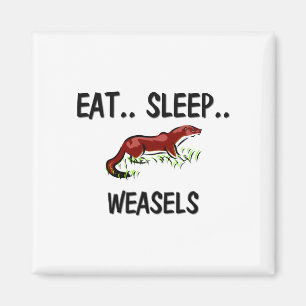 Sleep WEASELS essen Magnet