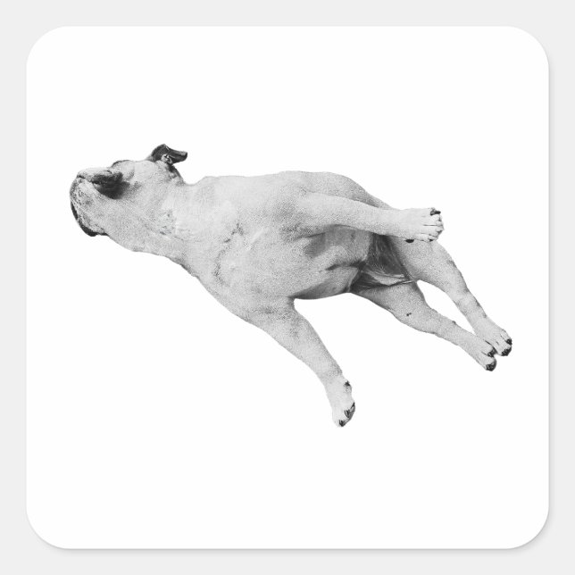 Sleeper Cutout, Noel Edition Quadratischer Aufkleber (Vorderseite)