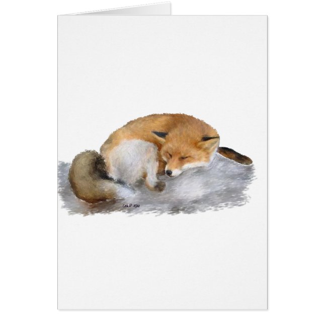 SLEEPING! (Vorne)