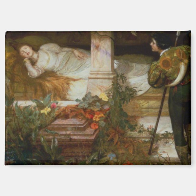 Sleeping Beauty (Pretty Princess Meets Her Prince) Magnet (Vorderseite)