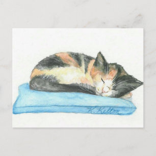 Sleeping Calico Kitten Postcard Postkarte
