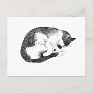 Sleeping Cat – Gentle Reminder to Rest Postkarte