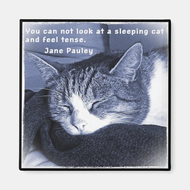 Sleeping cat magnet (Vorne)