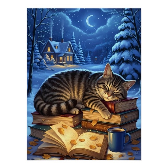 Sleeping Cat on Books Winter Night Poster (Vorderseite)