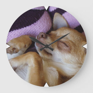 Sleeping Chihuahua Große Wanduhr