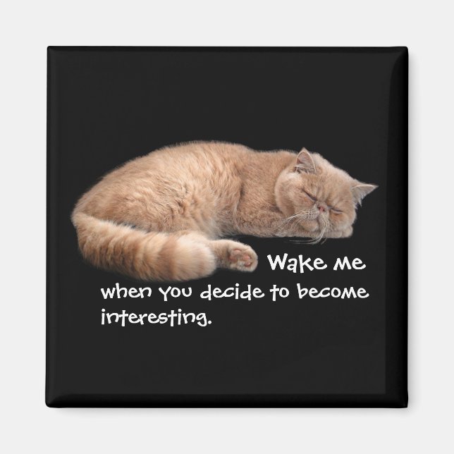 Sleeping Ginger Cat Funny Weckte Me Quote Magnet (Vorne)