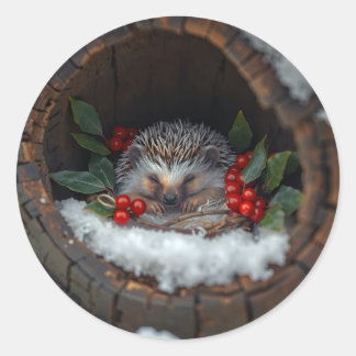 Sleeping hedgehog Christmas fun Runder Aufkleber
