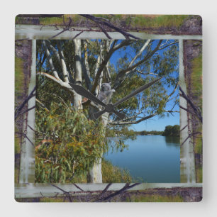 Sleeping Koala In Tree Over River, Quadratische Wanduhr