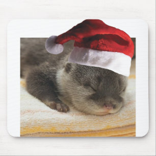 Sleeping-Otter Mousepad
