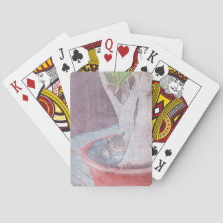 sleeping outdoor cat spielkarten