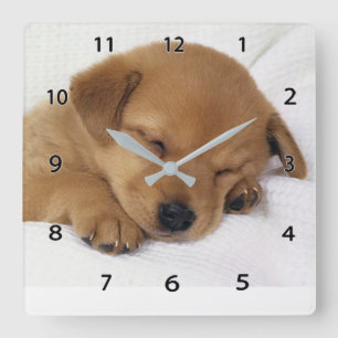 Sleeping Puppy Wall Clock Quadratische Wanduhr