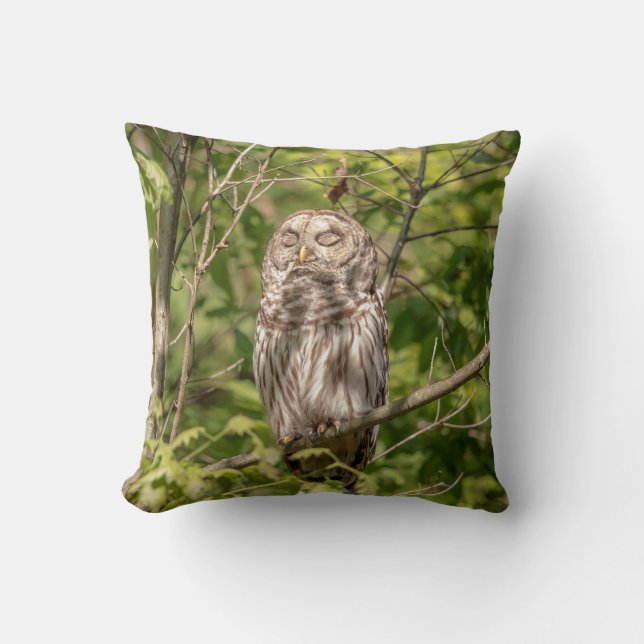 Sleepy Barred Owl Kissen (Vorderseite)