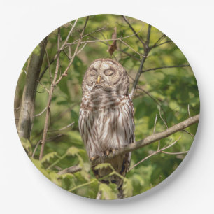 Sleepy Barred Owl Pappteller