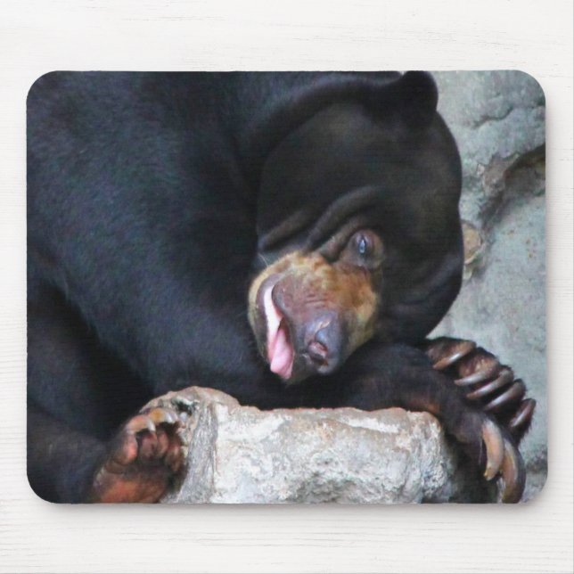 Sleepy Bear Mousepad (Vorne)