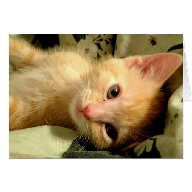 Sleepy Boy I (Vorderseite (Horizontal))