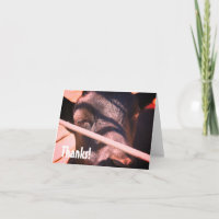 Sleepy Bull Farm Animal Nature Danke Karte