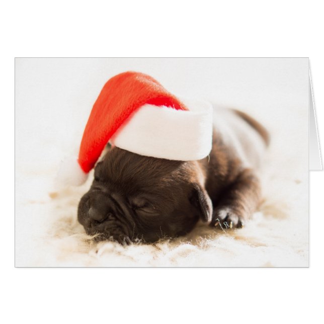 Sleepy Bulldog Puppy Christmas Card (Vorderseite (Horizontal))