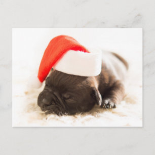 Sleepy Bulldog Puppy Christmas Postkarte